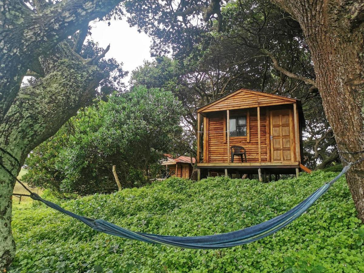 Bulungula Xhosa Community Lodge 객실 사진